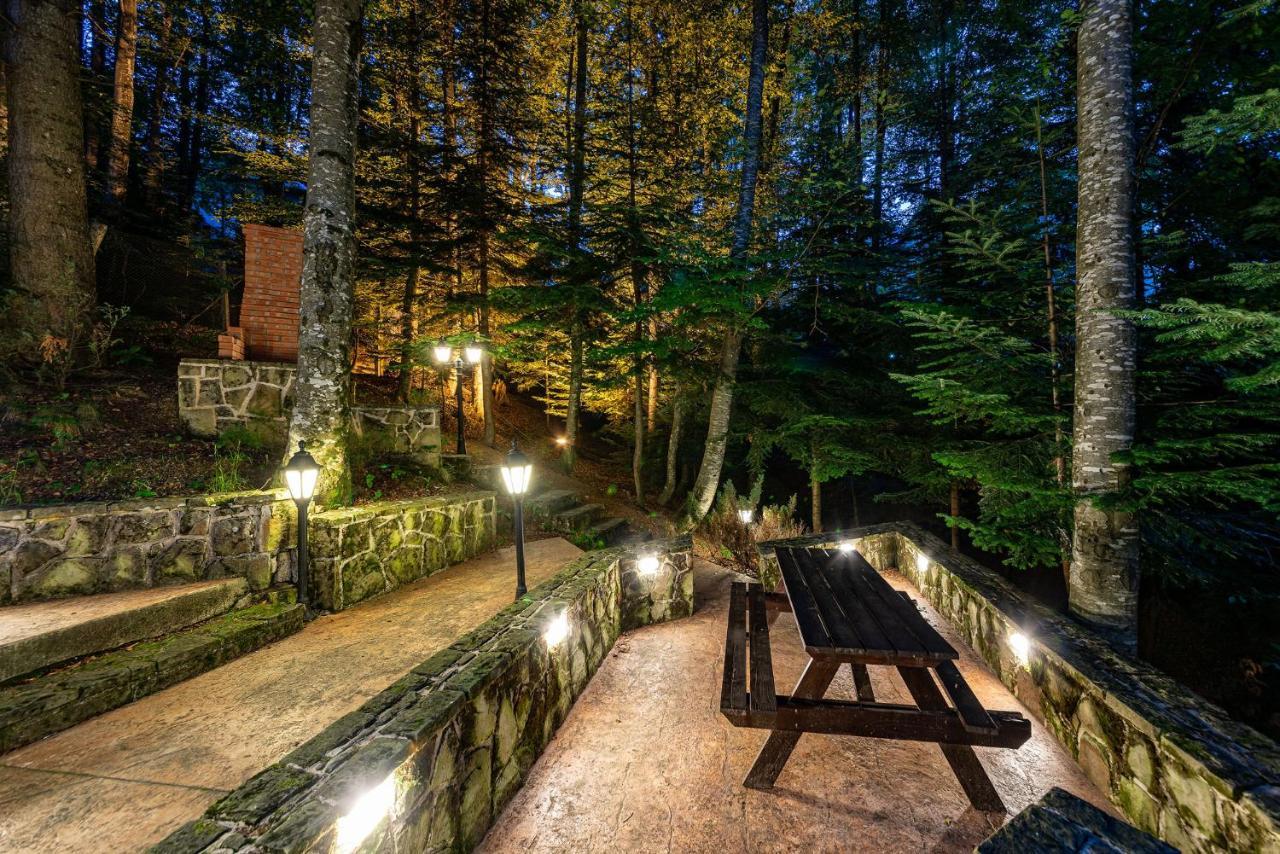 Hotel Regal Sinaia Eksteriør bilde